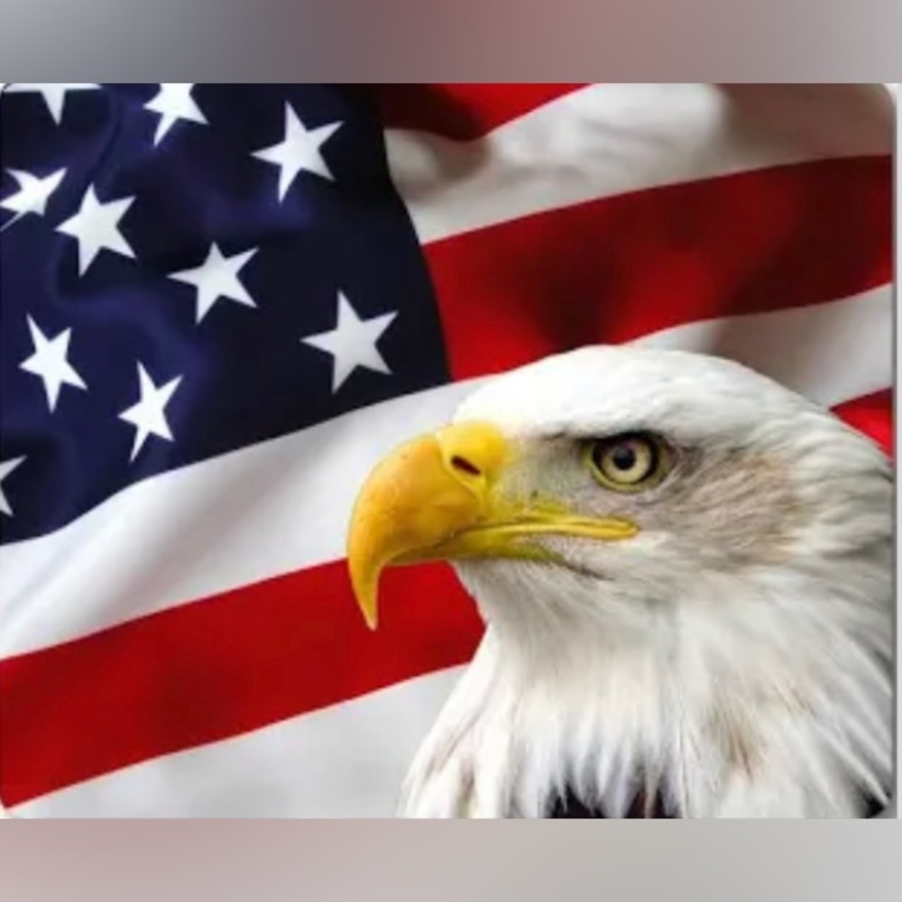 🇺🇸 NWT USA Patriotic Items, Rae Dunn Collection & Other Home items